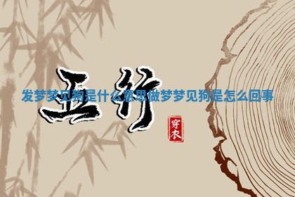 发梦梦 🛬 见狗 🐍 是什么意思_做梦梦见狗是怎么回事 发梦梦 🛬 见狗 🐍 是什么意思_做梦梦见狗是怎么回事