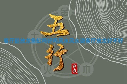 客厅能放龙鱼缸吗好吗风水_风 🌳 水说客厅放龙好不 🐛 好