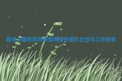 属 🥕 羊与属蛇 👣 的共事如何提升团队合作与工作效率