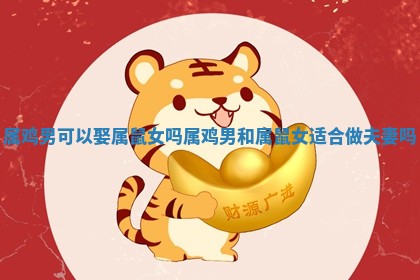 属鸡 ✨ 男可以娶 🚡 属鼠女吗 属鸡男和属鼠女适合做夫妻吗