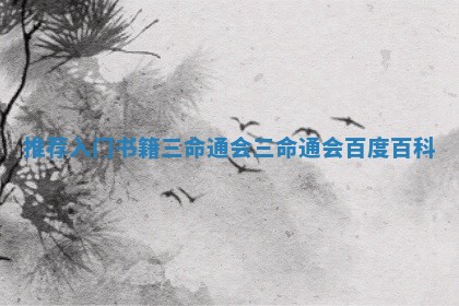 推荐入门 🤓 书籍三命 🍍 通会 三命通会百度百科