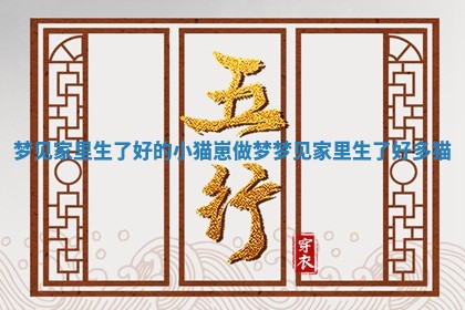 梦见家里 🎱 生了好的小猫崽_做 👤 梦梦见家里生了好多猫