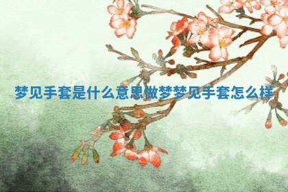 梦 🛫 见手套是什 🈷 么意思_做梦梦见手套怎么样