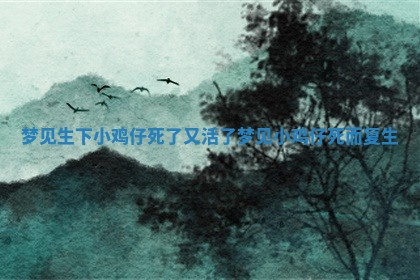 🐮 梦见 🧥 生下小鸡仔死了又活了_梦见小鸡仔死而复生 🐮 梦见 🧥 生下小鸡仔死了又活了_梦见小鸡仔死而复生