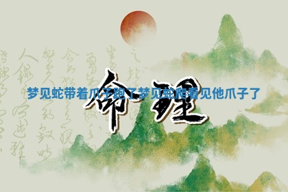 📂 梦见蛇带着爪子跑了 梦见蛇爬看见他爪子了 🚽