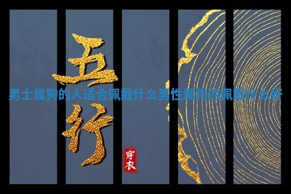 男士属狗的人适合佩戴什 🎾 么 男性属 🐴 狗的佩戴什么好