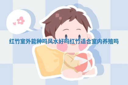 红竹室外能种吗风 👭 水好吗_红竹适合室内养殖 😧 吗 红竹室外能种吗风 👭 水好吗_红竹适合室内养殖 😧 吗